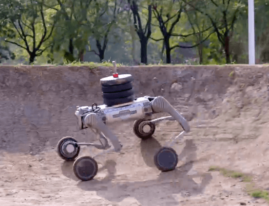 Robot Dog Cost vs. ROI: Are Quadruped Robots Worth the Investment for ...