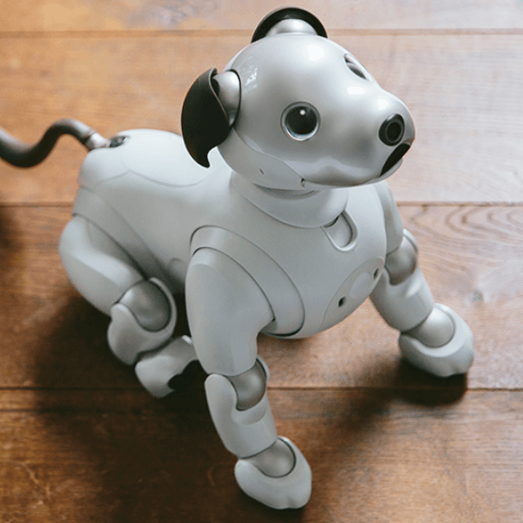 The Evolution of the Mechanical Dog: From Playful Toy to Industrial Powerhouse