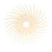scotch brite SR-Radial-Bristle disc