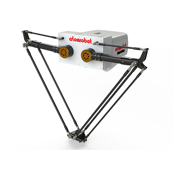 Astro Boy D2-1000-P0 Load 5kg Work Area 1000mm |?inRobots.shop